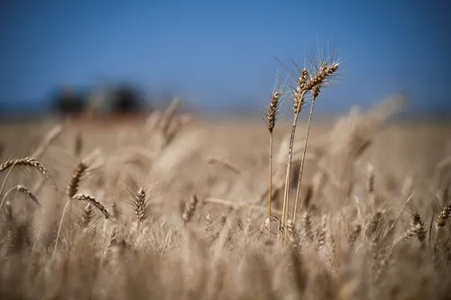La OPS advierte que el fenómeno de El Niño tendrá importantes repercusiones sanitarias en América