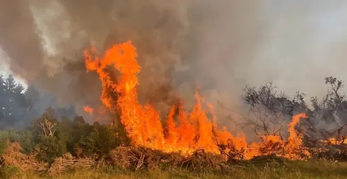 Más de 25 bomberos logran contener un incendio en las montañas de Dublín tras semanas de sequía