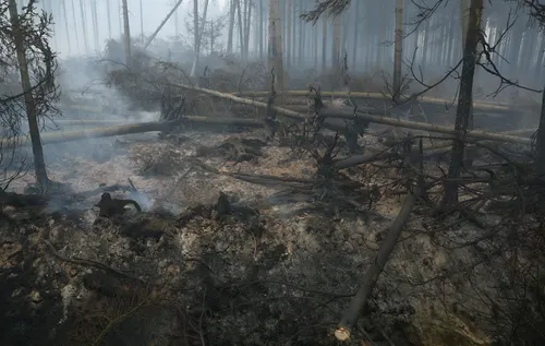Incendio forestal arrasa 3.000 hectáreas en Bélgica y avanza hacia Alemania
