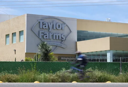 Brotes de contaminación en jalapeños obligan a retirar masivamente productos de Taylor Farms en EE.UU.