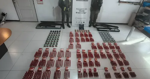 En Argentina incautan 4.600 municiones, 1.400 cartuchos y armas largas en un camión de paquetería