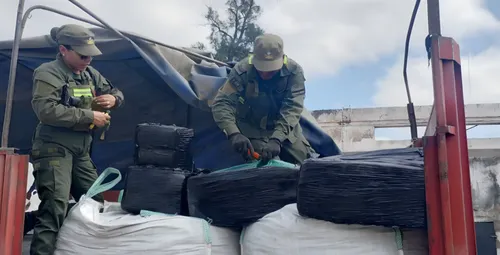 Operativo de Gendarmería en Argentina incauta 420 kilos de hojas de coca en Santiago del Estero