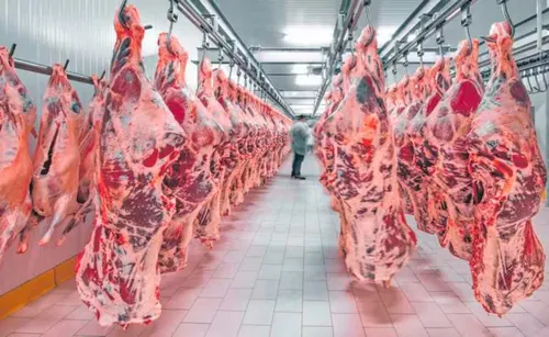 México abre su mercado a la carne bovina de Paraguay y habilita a 10 frigoríficos para exportar