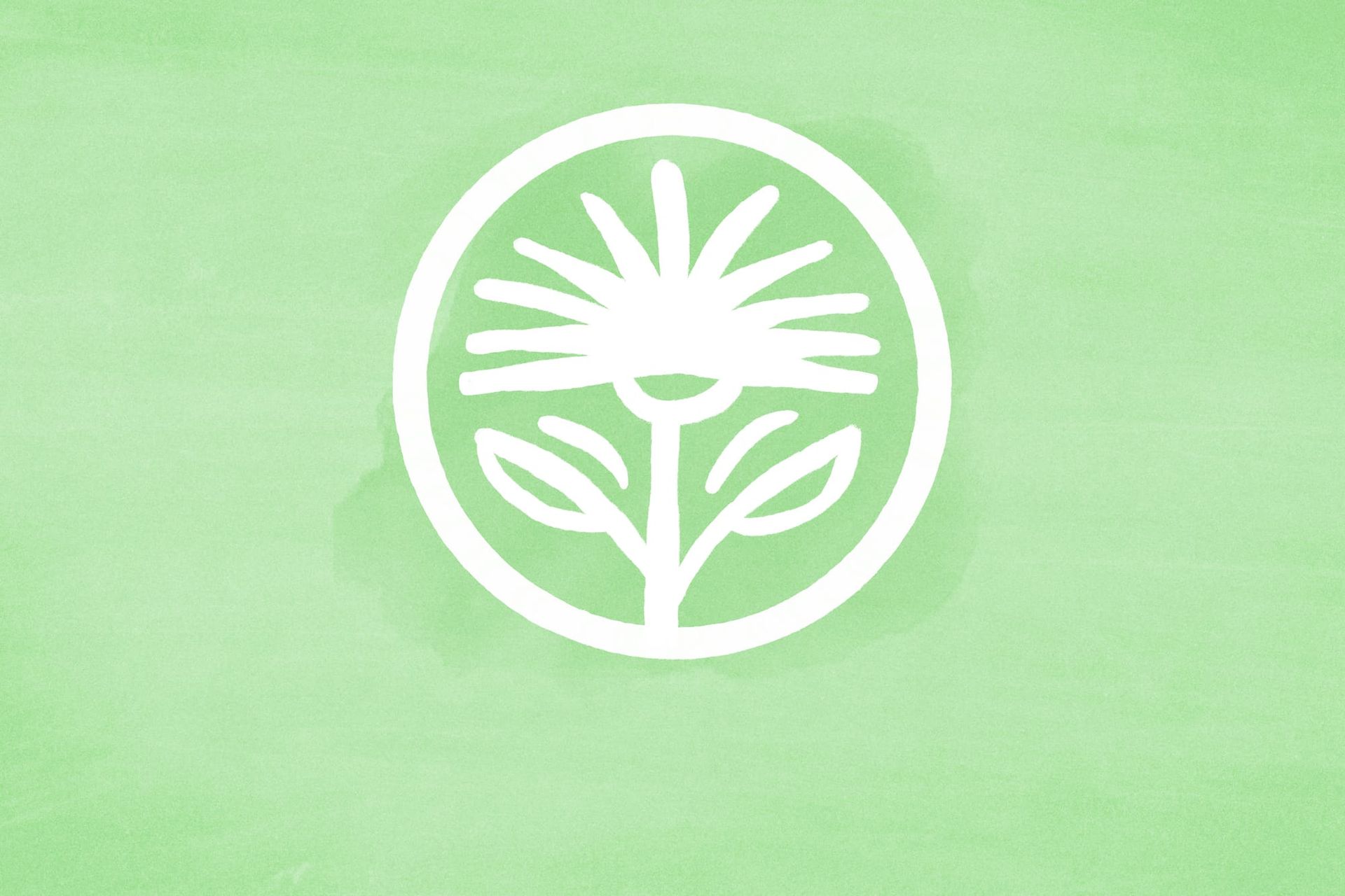 Updates, not upsells — Kelford Labs Daily