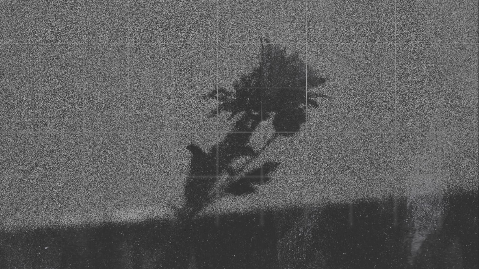 The Clearing Gospel — No. 2