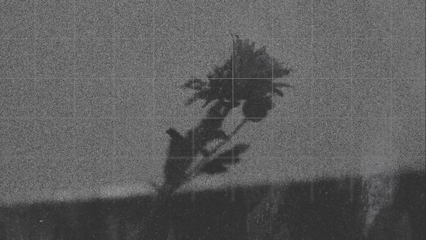 The Clearing Gospel — No. 2