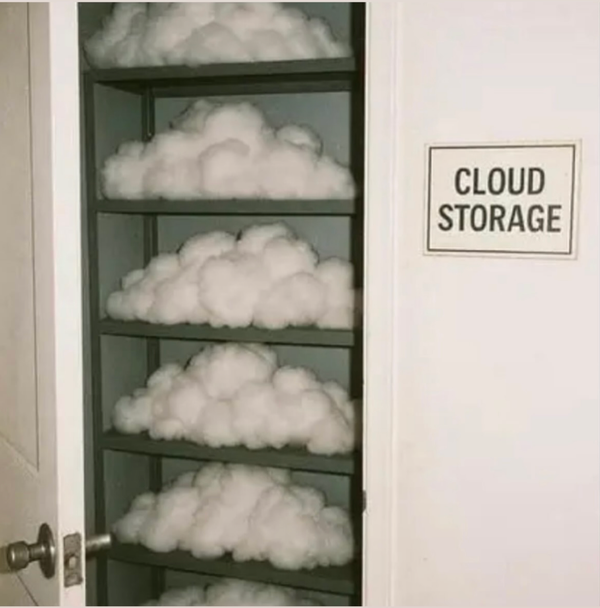 data dandy digest (n°5, 2025)