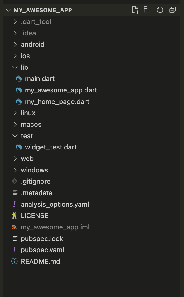 Directory hierarchy in a Flutter starter project