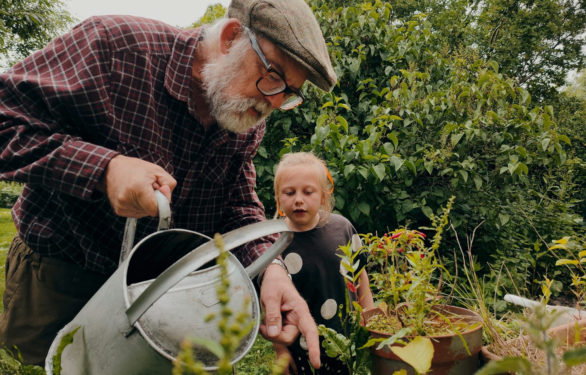 An older man, watering a garden, shows a young girl something in the garden that interests them.