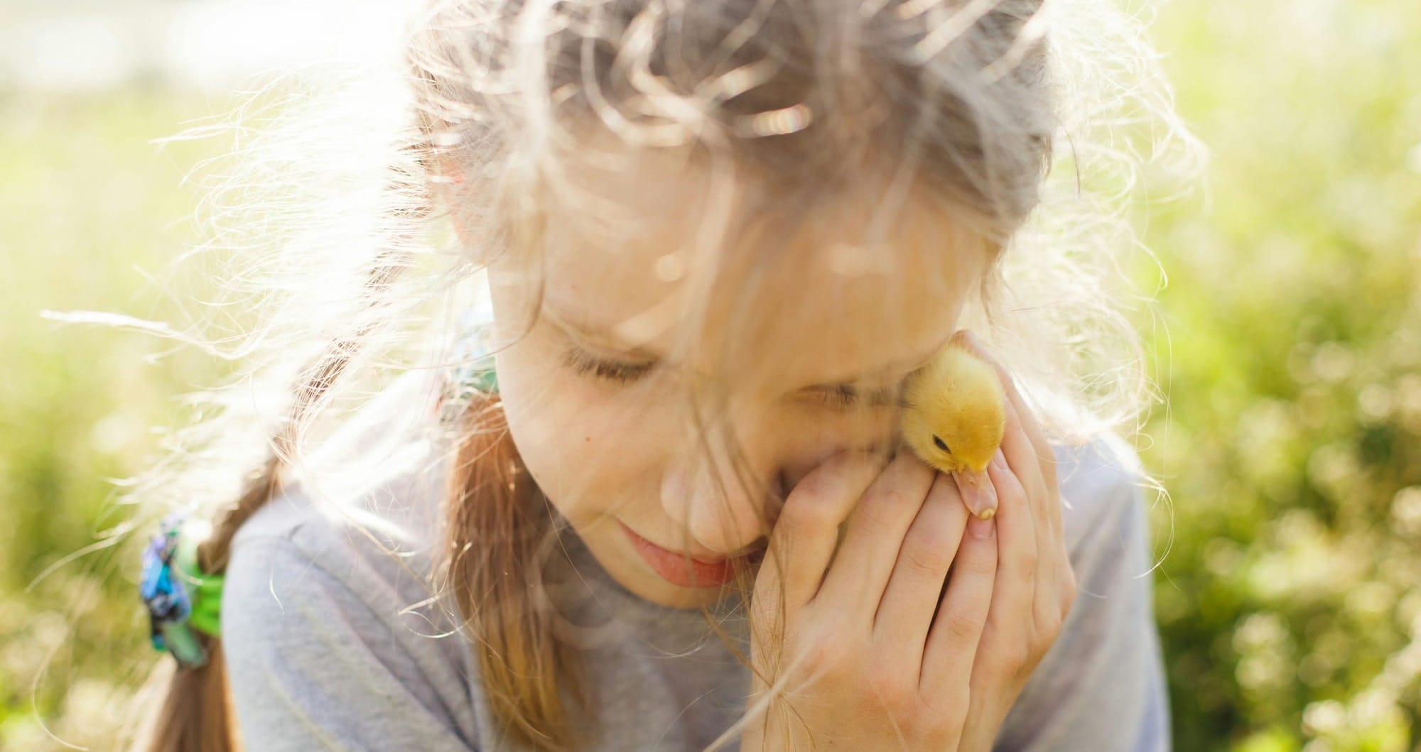 A young girl holds a duckling to her cheek.