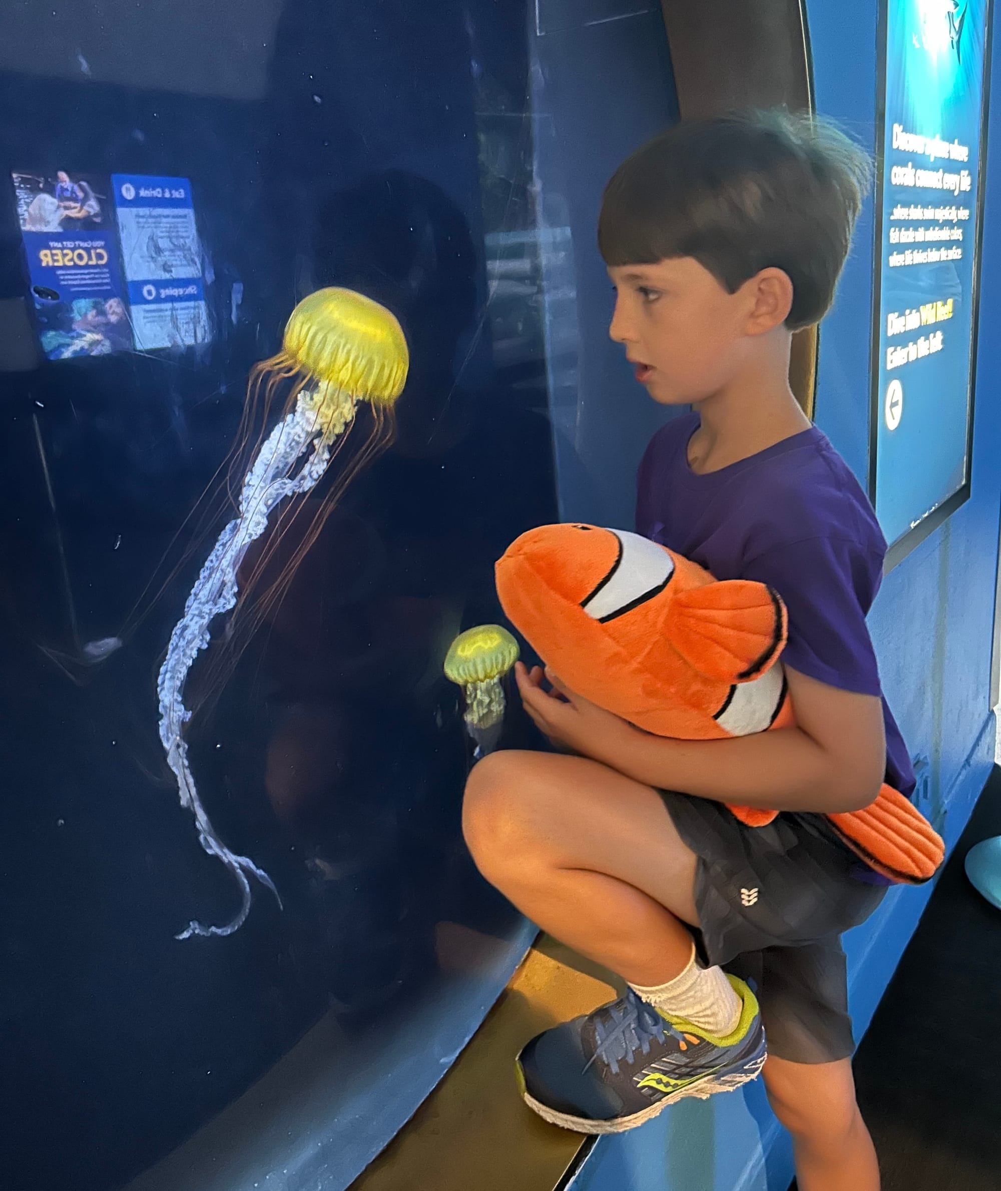 Child appreciates a jellyfish at the Shedd Aquarium, Chicago, while holding his souvenir stuffy, a clownfish.