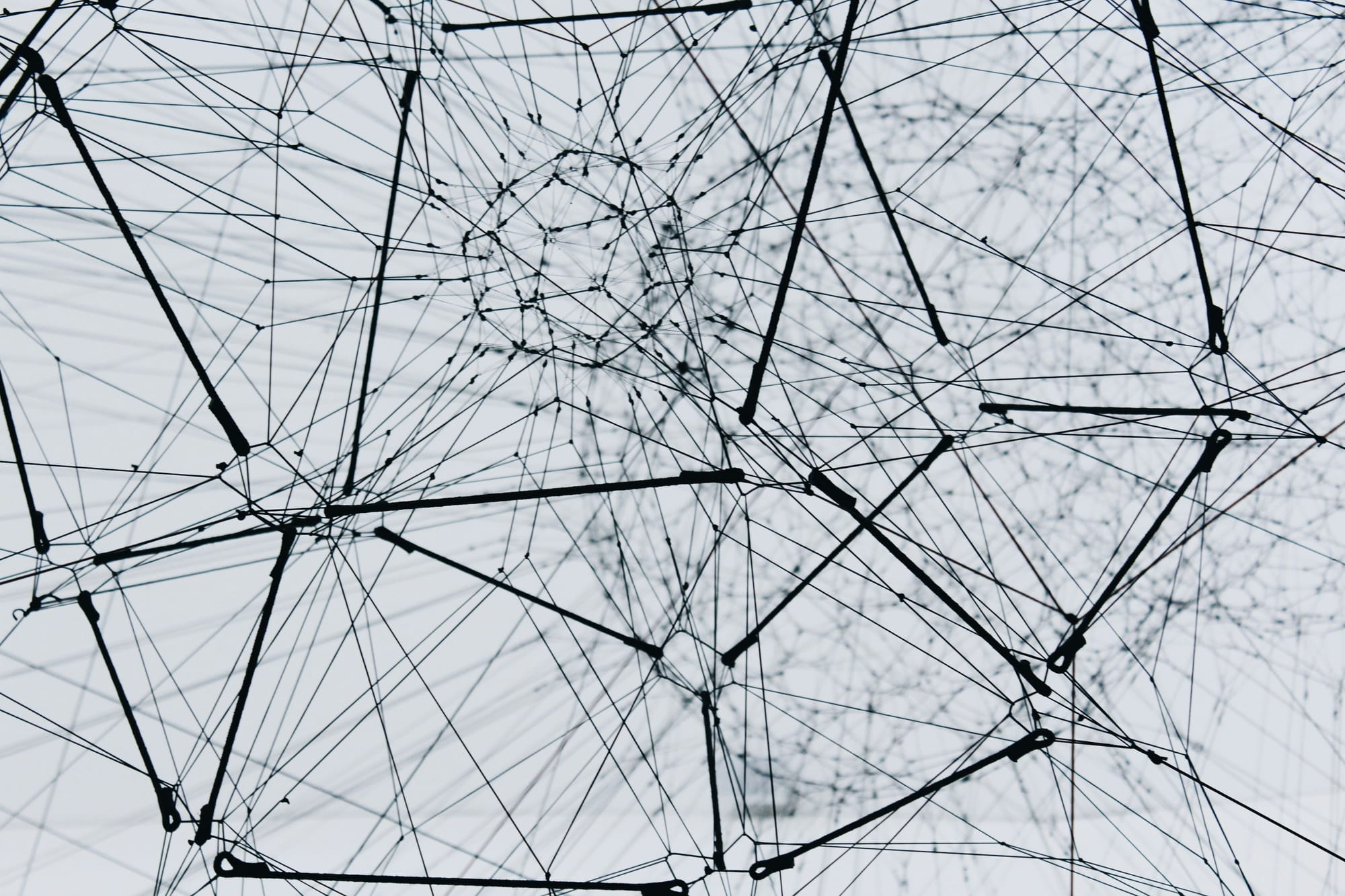 A three-dimensional web-like structure, with some connections more dense than others. 