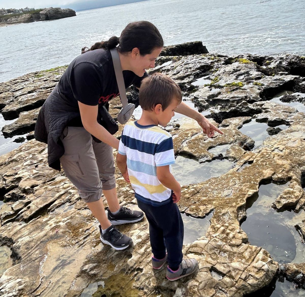 Stalking sea creatures