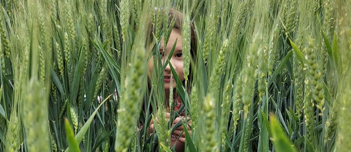 A young girl hides in tall grass.