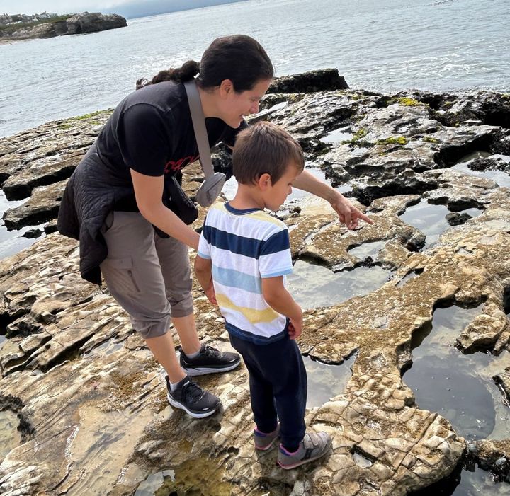 Stalking sea creatures