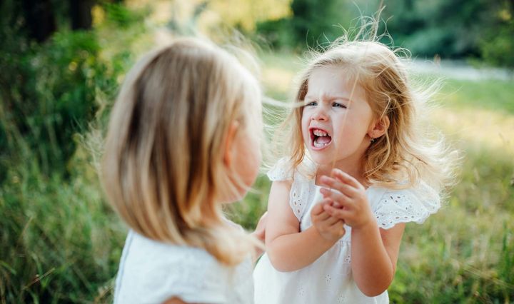 Two young girls in a grassy scene, the younger one, facing the camera, appears angry.