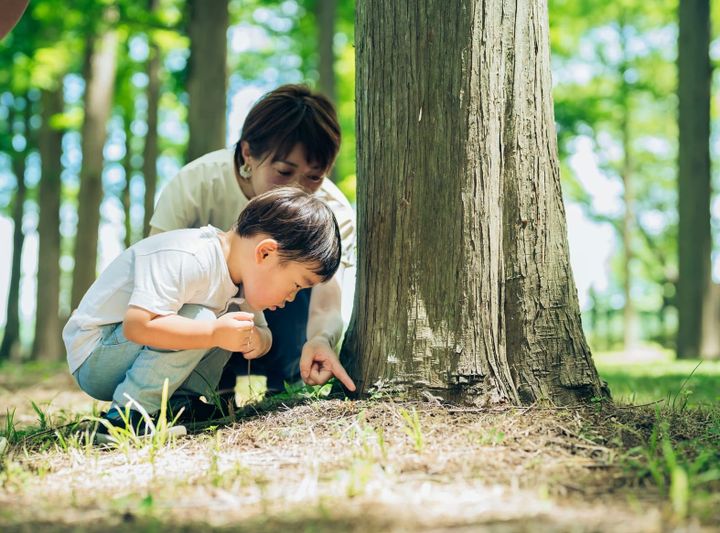 A boy and a woman closely examine something at the base of a tree.