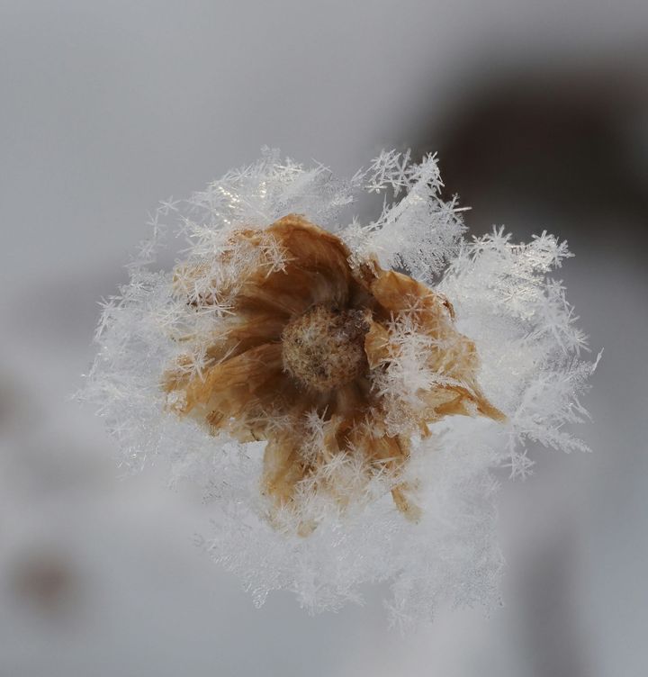 Confronting fragility, and embracing it