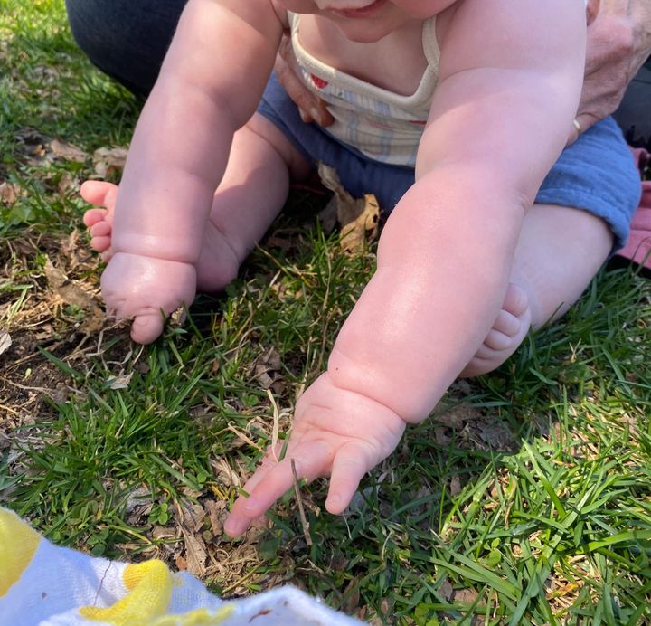 A baby sits in a lawn grabbing and pulling on the grass.