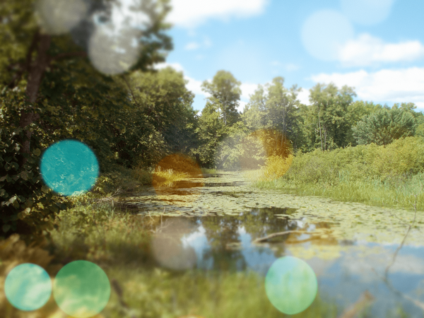 a wound turned into light