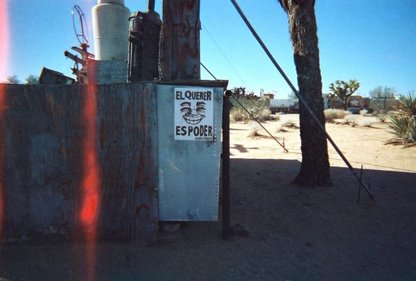 Introducing Those Creatures Jumped The Barricades