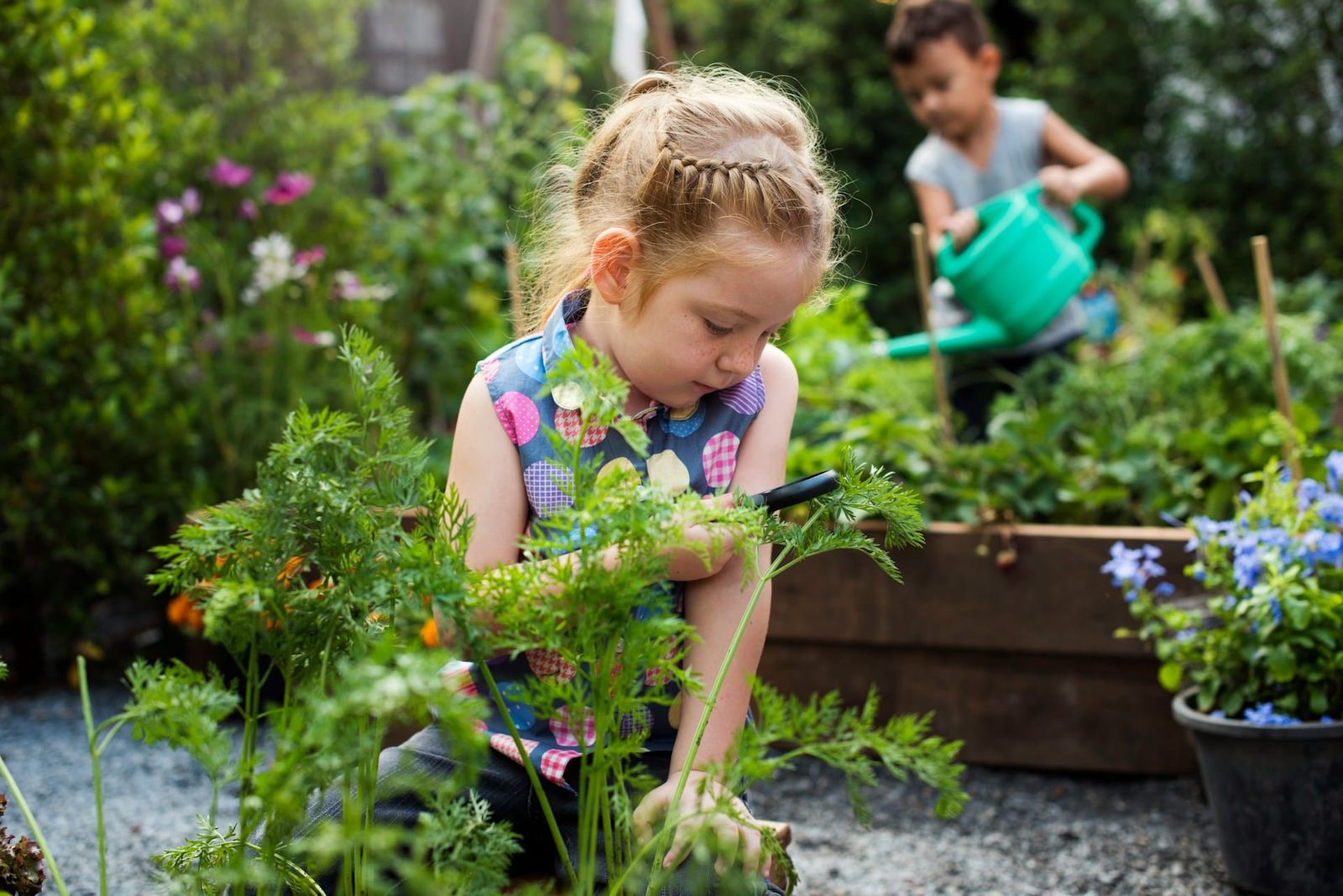 Herb Detectives: Helping Children Discover Your Hotel's Herb Garden