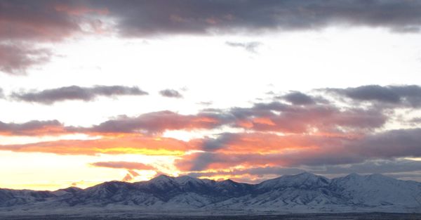 Digest — December 2025