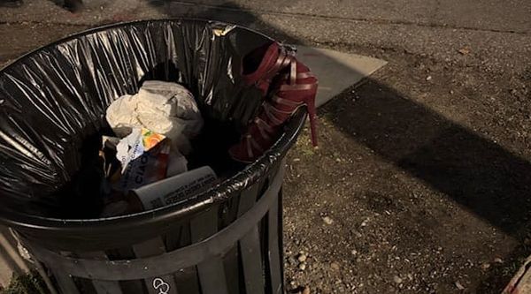 Digest — January 2026