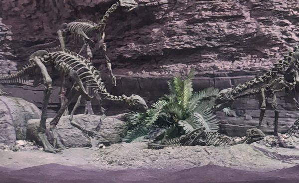 Digest — April 2026