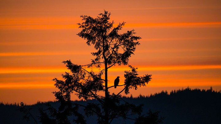 Northern Vancouver Island - Photos