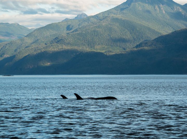 Pacific Wild West - Photos