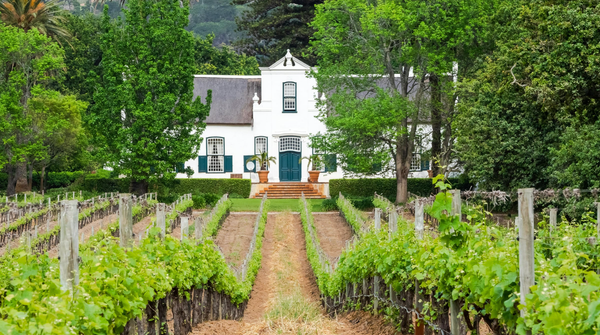 Don’t Transfer Your Wealth If You Haven’t Transferred Your Values