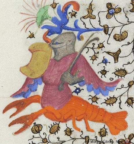 Drollery of a lobster-knight