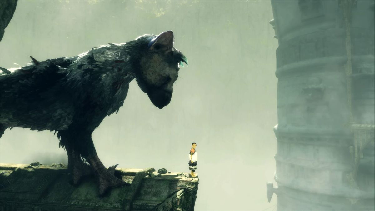 Why Trico Matters