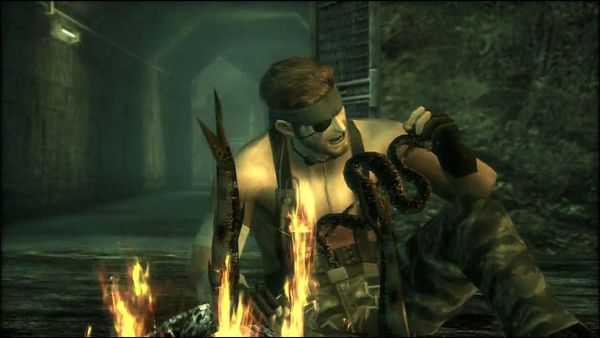 More Aspects of the Trickster