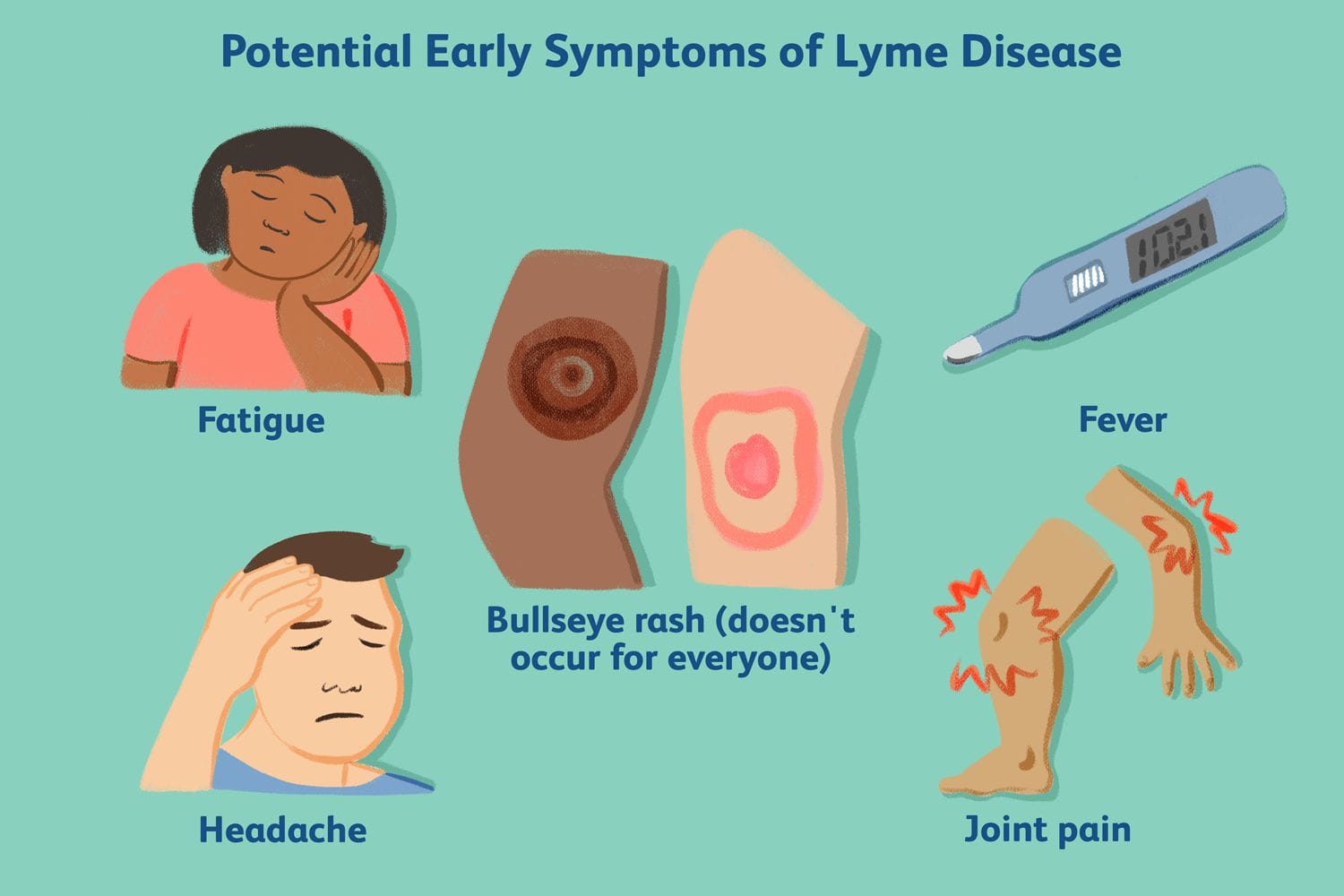 Lyme disease and Symptoms