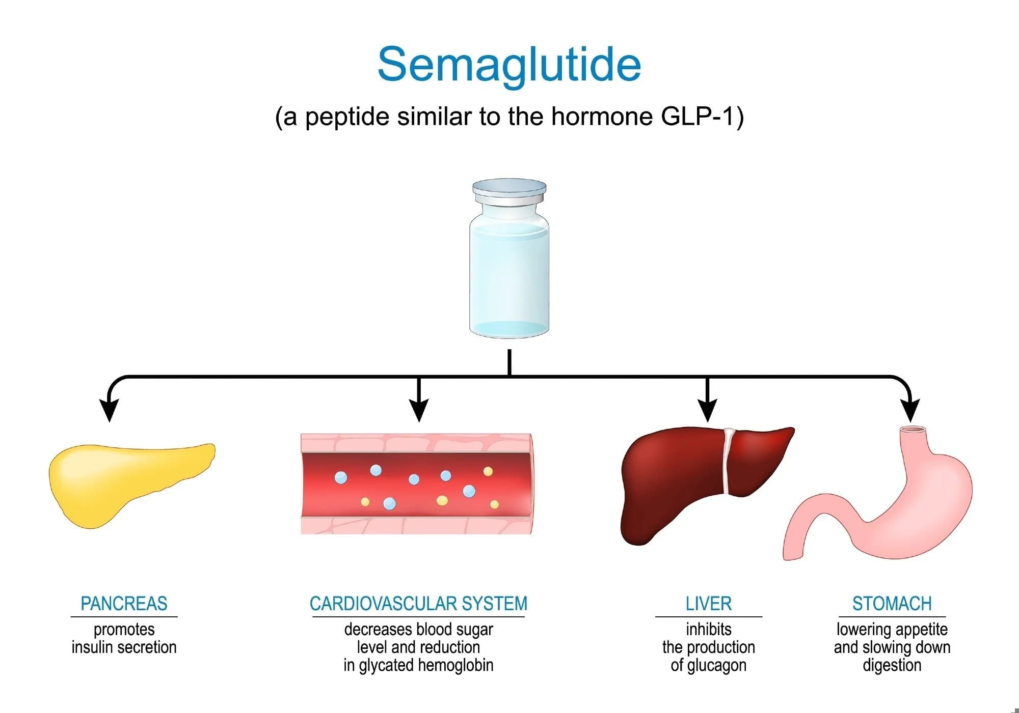 Semaglutide: Long-Term Impact on Economic Outcomes and Healthcare Value