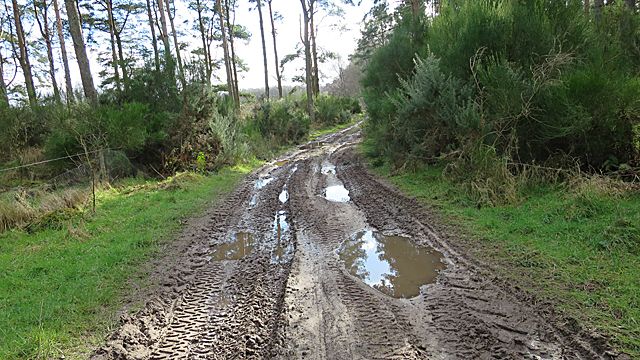 When the Founders Fade