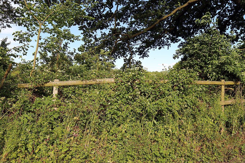 Rambling thru the countryside