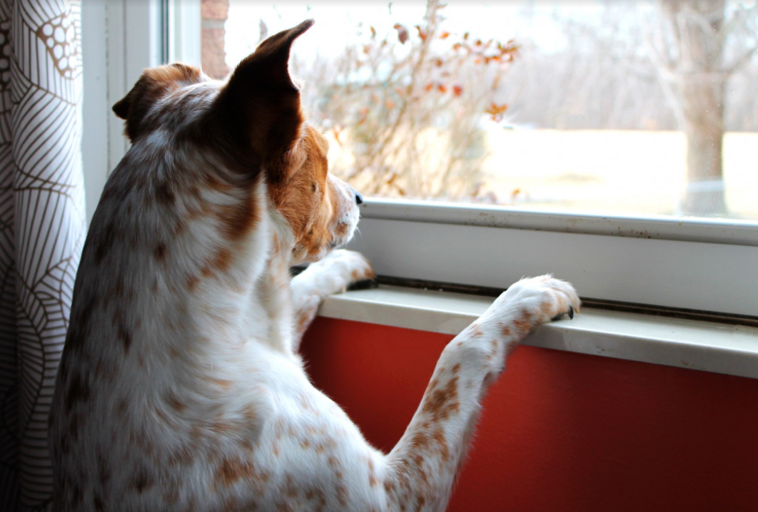 Something's Coming...