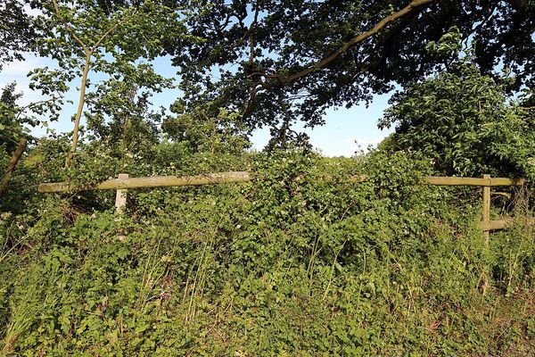 Rambling thru the countryside