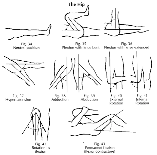 Hip Mobility Article 1