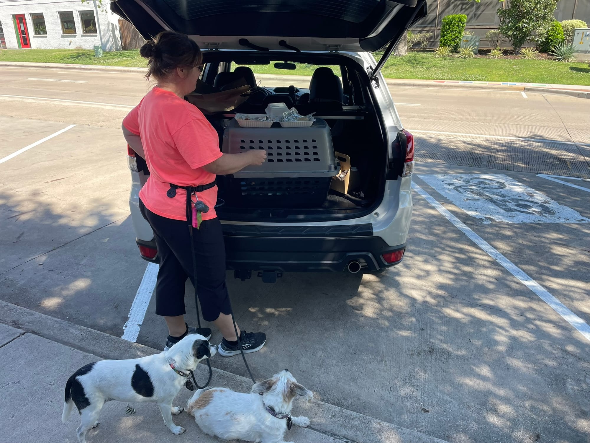 Woman in coral shirt standing at the back of a white Subaru with the hatch open, preparing for a tailgate breakfast with two small dogs waiting patiently by her side.