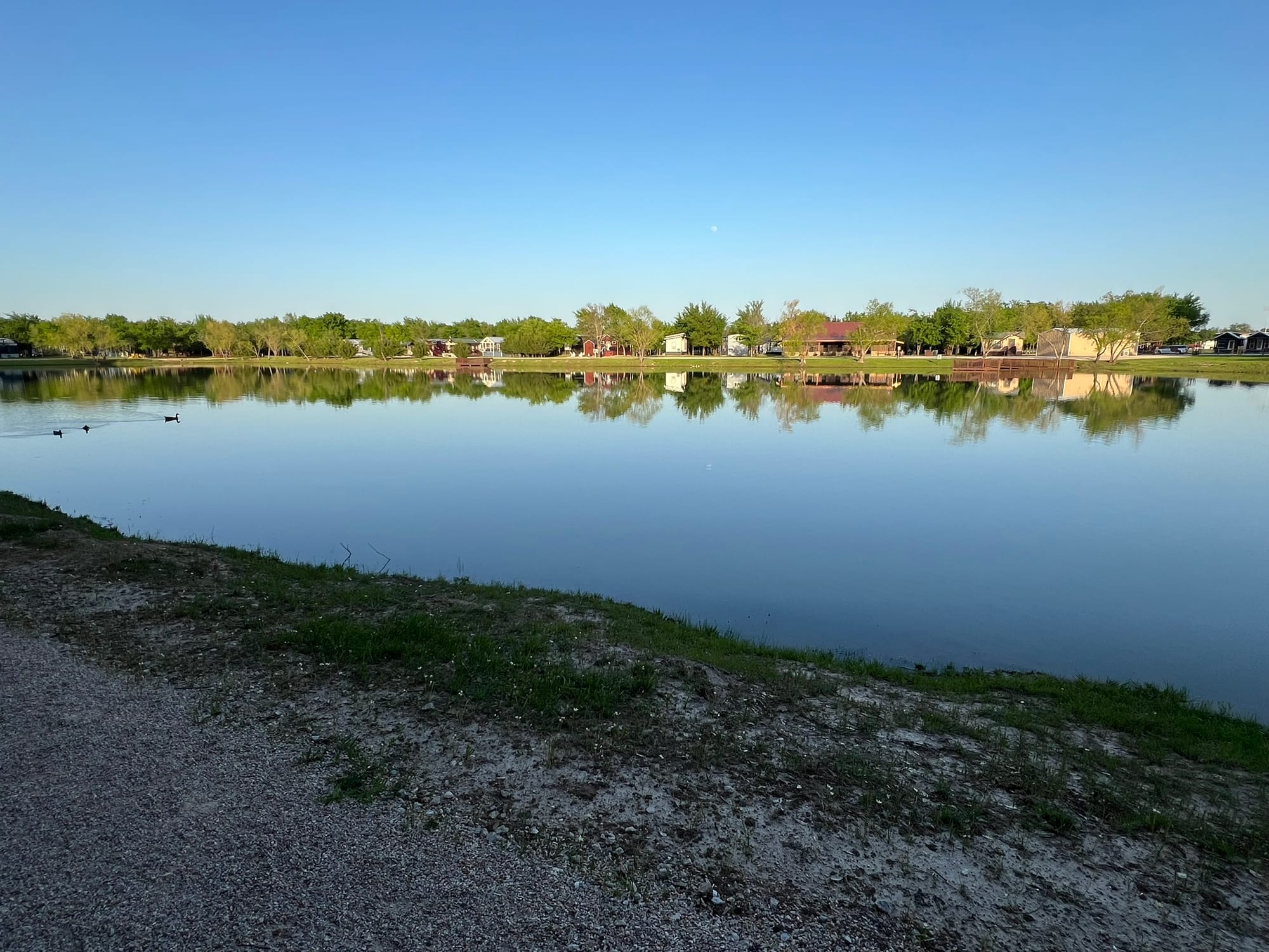 Peaceful lake at the tiny home community with perfect reflections of trees and homes on the still water surface under a clear blue sky.
