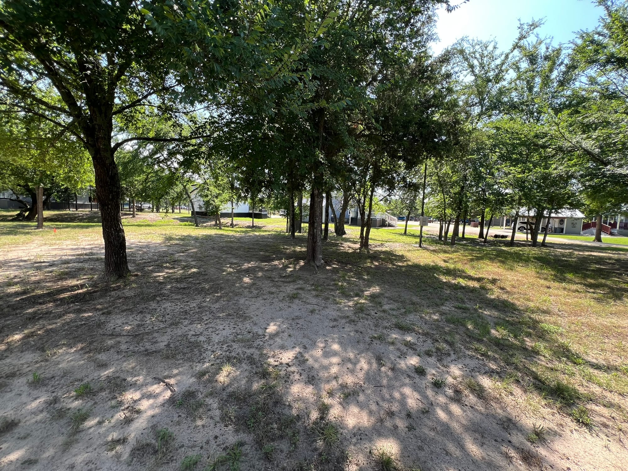 Park-like setting with trees, sandy grass and neighboring tiny homes in the distance