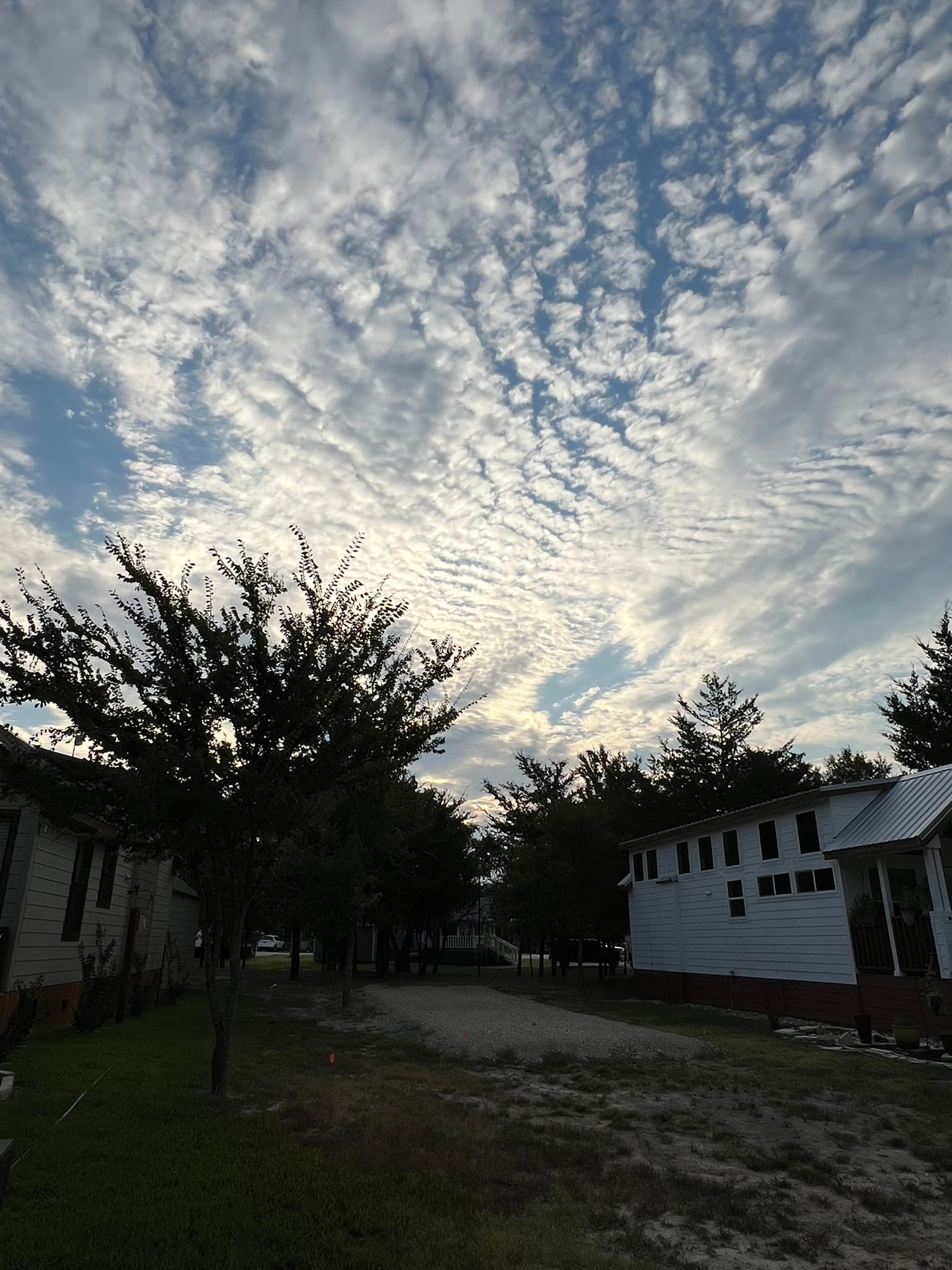 Empty tiny house lot with dramatic cloudy sky, surrounded by trees and neighboring tiny houses, waiting for delivery