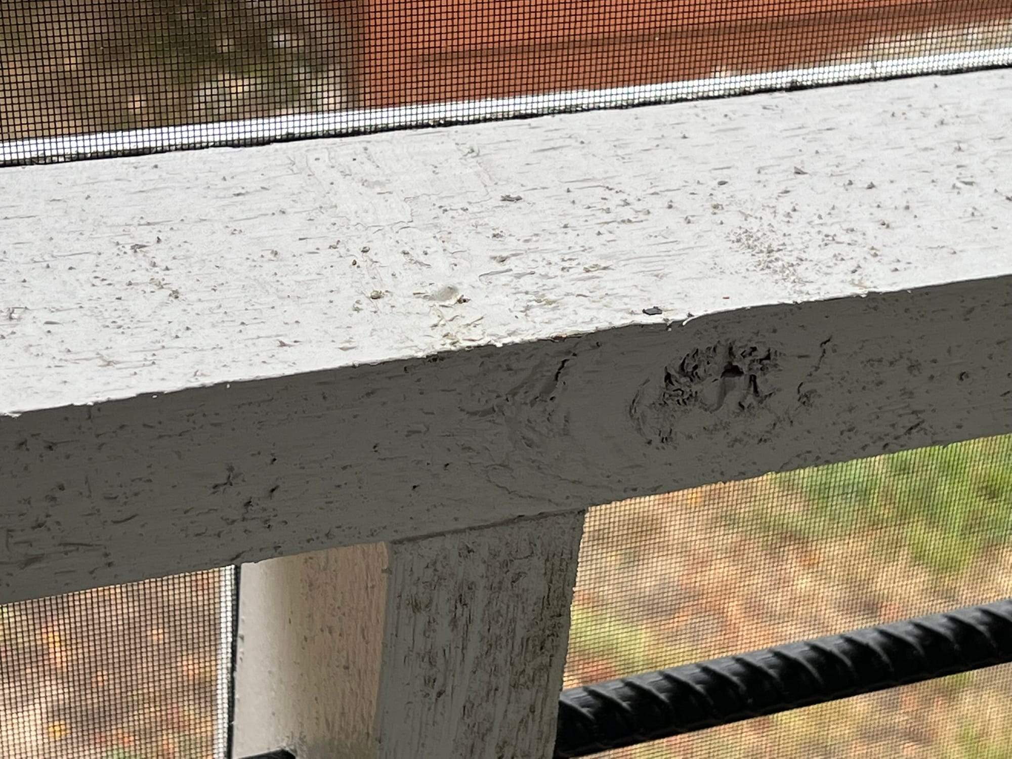 Screened in porch railing with rough, unsanded wood painted white
