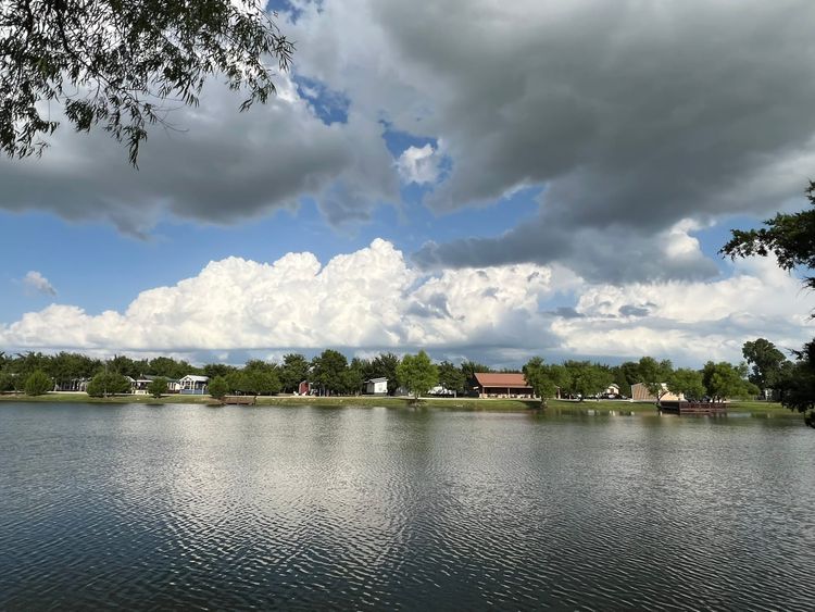 Calm, scenic view of tree canopy or lake from a quiet rural walk