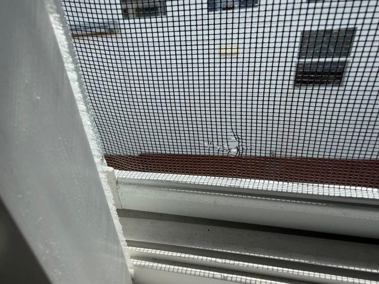 Torn window screen with visible rip damage near bottom edge from tree branch contact