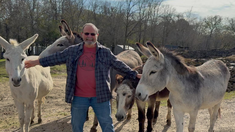 Are We Actually Better Off? Tiny House Budget vs Our Old Life